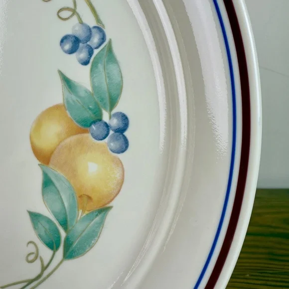 Corelle by Corning Dinner Plates – Country Cottage Fruit – Set of 4 - Picture 9 of 16